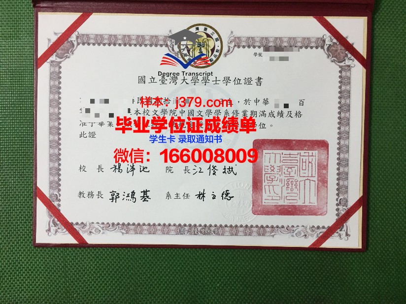 西伯利亚国立电信与信息大学毕业证书