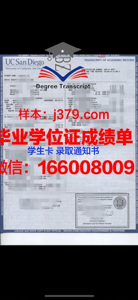 大学考试成绩单编号怎么查