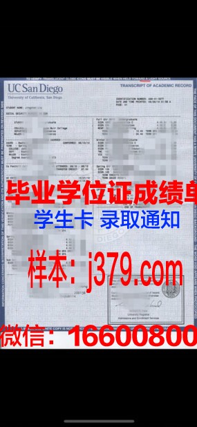 西南大学成绩单:考研路上的重要参考