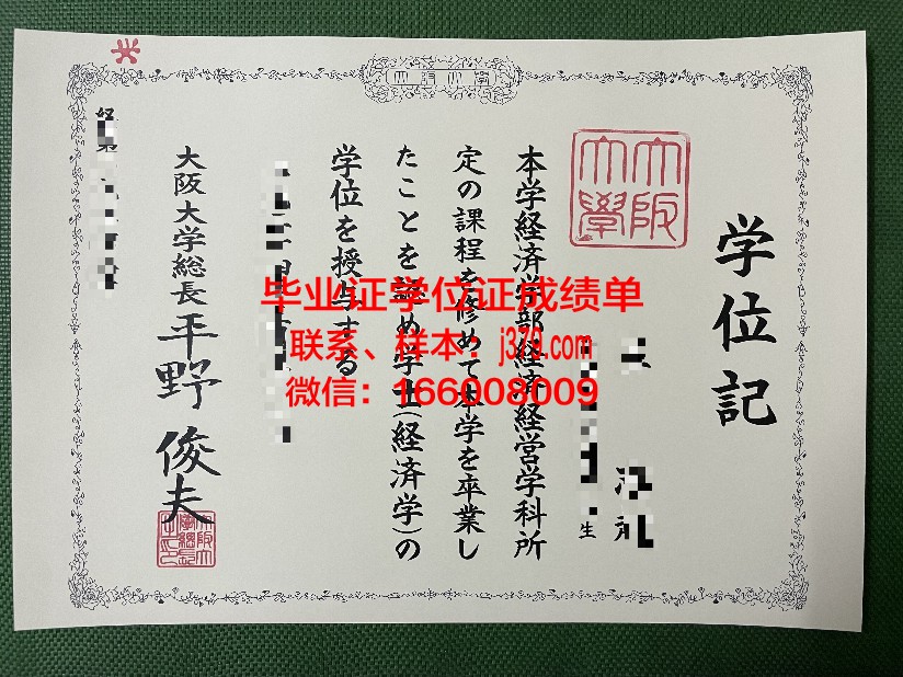 大阪市立大学毕业证