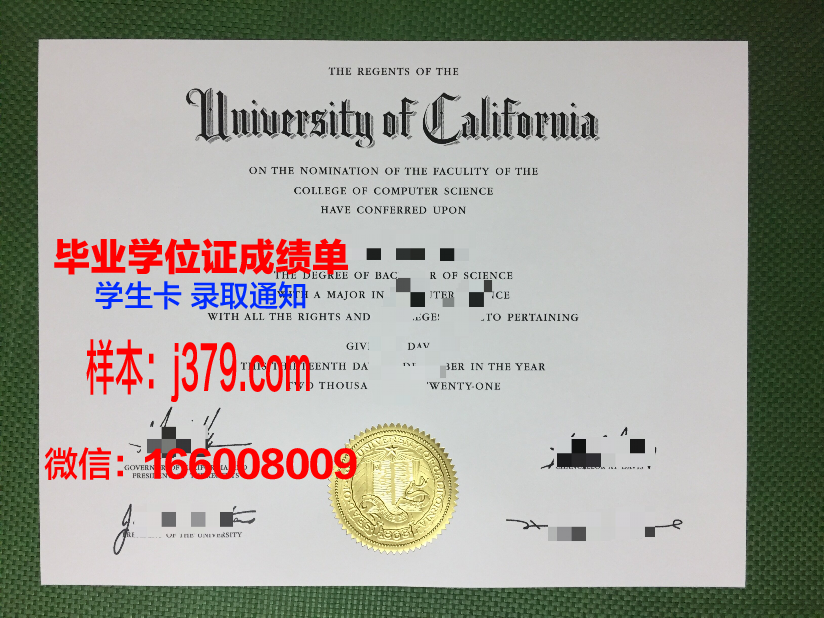 大学毕业证章子没编码(毕业证章看不清了怎么办)