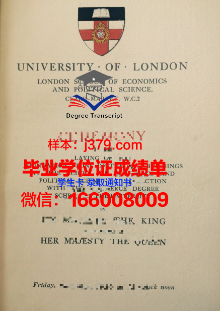 西勒斯学院毕业学位