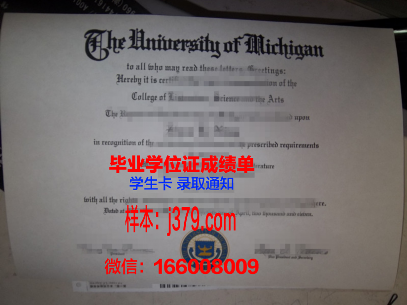 西伯利亚国立电信与信息大学毕业证模板