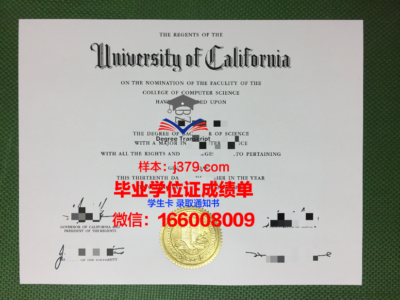 天普大学毕业证展示