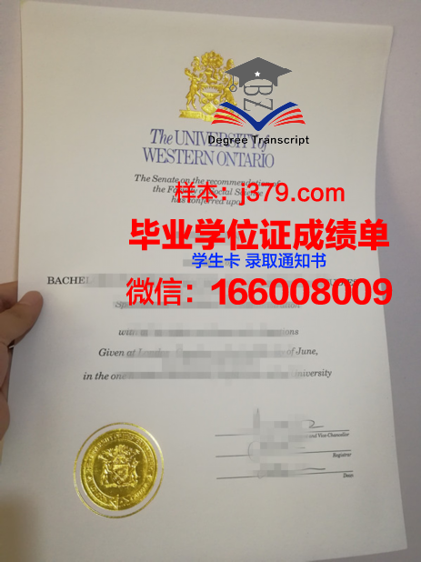 大略本科毕业证:承载知识与荣誉的证书