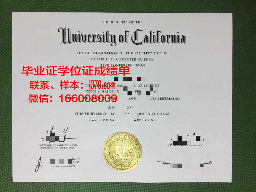 大田加图立大学毕业证图片