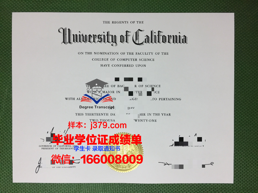 大本毕业证政治面貌一栏的困惑:团员与群众的抉择