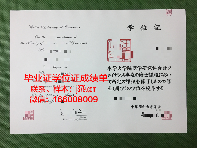 奈耶诺德工商大学成绩单:彰显欧洲商科教育的卓越实力