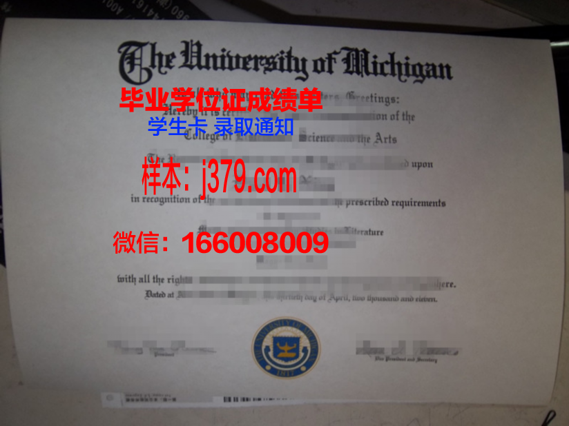 大邱保健大学博士毕业证:迈向辉煌人生的新起点