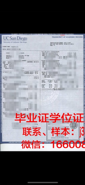 大正大学学位成绩单定制:专业、精准、权威