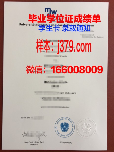 维也纳技术大学毕业证翻译(维也纳大学翻译专业)