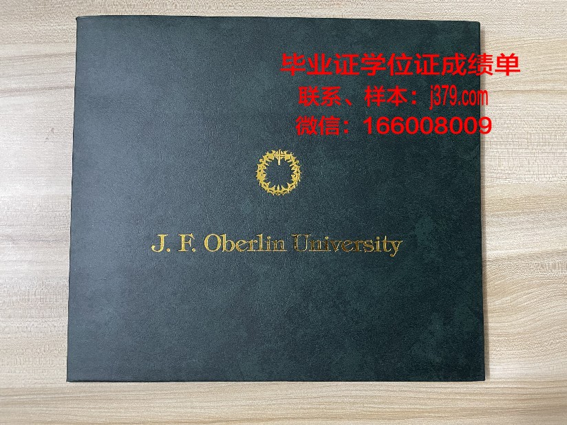 雷根斯堡大学硕士毕业证(雷根斯堡应用技术大学在应用技术大学的排名)