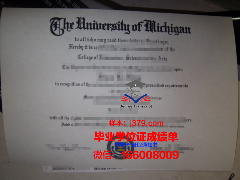 维斯瓦学院毕业证是什么样子(维斯瓦娃)