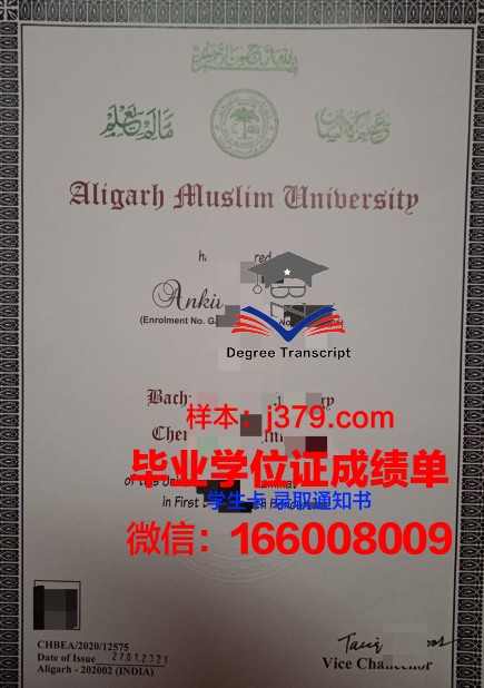 阿里格尔穆斯林大学毕业证成绩单:承载知识与荣誉的证书