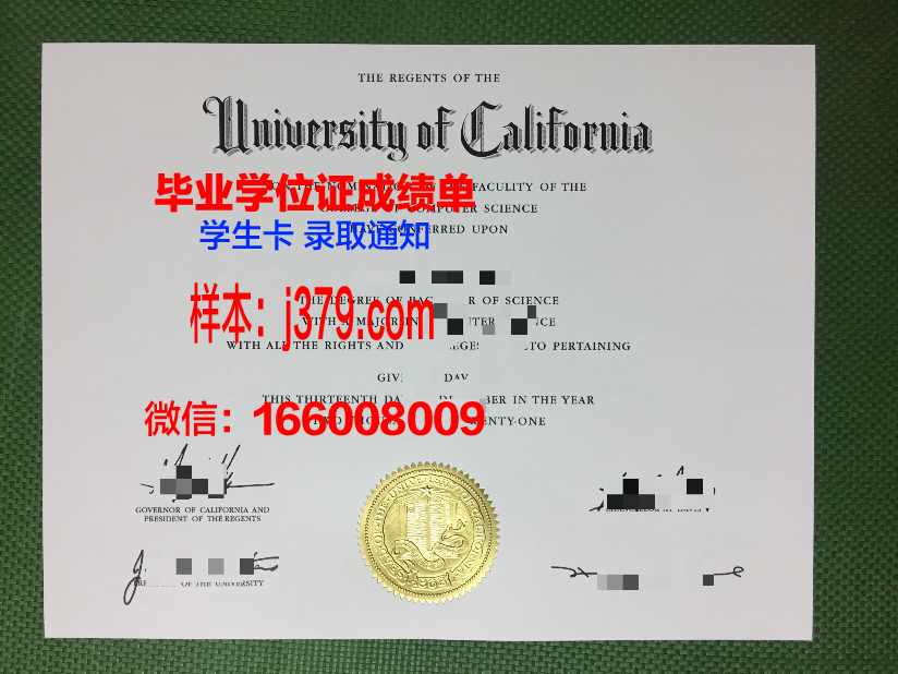 维班克学院毕业证Diploma文凭
