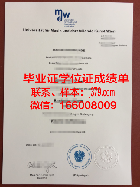 维也纳音乐与艺术市立大学文凭(维也纳音乐及艺术市立大学)
