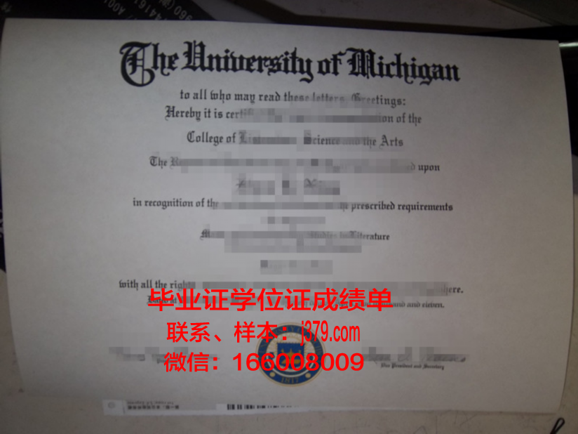 雷恩第一大学毕业证照片(雷恩一大官网)