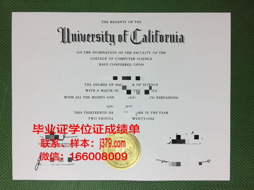 维罗大毕业证:承载荣誉与梦想的纸笔传奇