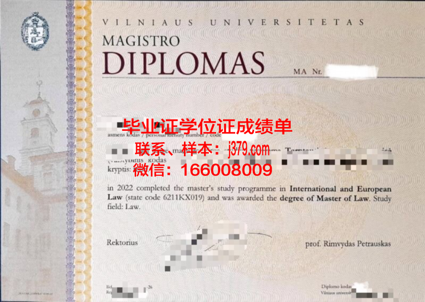 维尔纽斯工业大学学生卡(维尔纽斯大学怎么样)