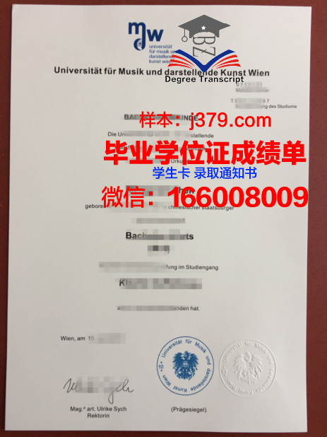 维也纳应用艺术大学博士毕业证:艺术领域的 golden ticket