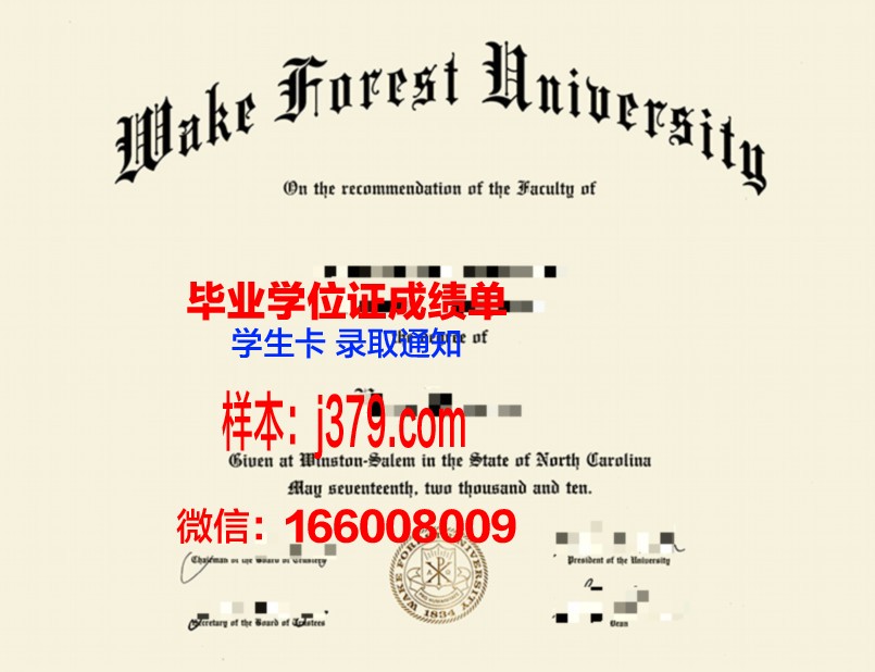 维克技术社区学院成绩单:一份展现教育质量的报告