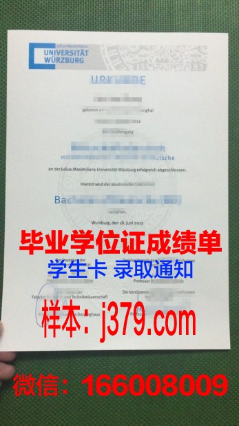 维尔茨堡大学硕士毕业证书:一张通往国际舞台的通行证