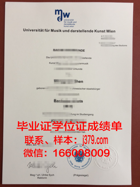 维也纳模都尔大学毕业证长什么样(维也纳学院落榜生)