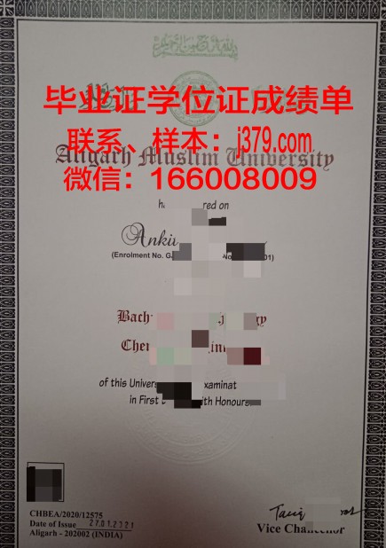 阿里格尔穆斯林大学毕业证图片