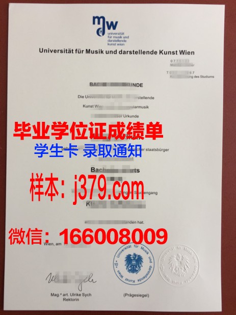 维也纳技术大学证书成绩单(维也纳技术应用大学)