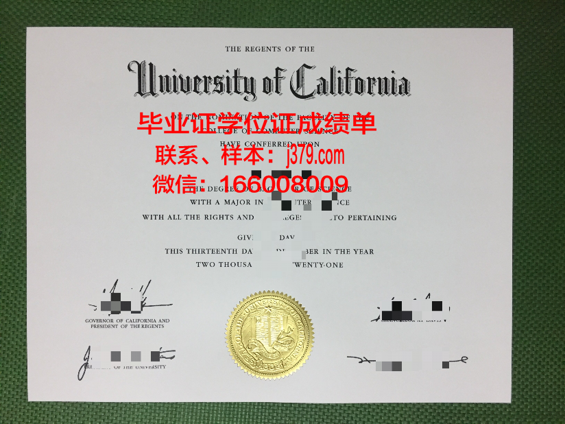 雅罗斯拉夫尔国立大学毕业证:开启国际认可的学术之旅