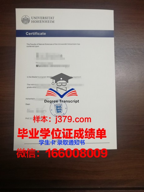 霍恩海姆大学证书成绩单(霍恩海姆壁纸)