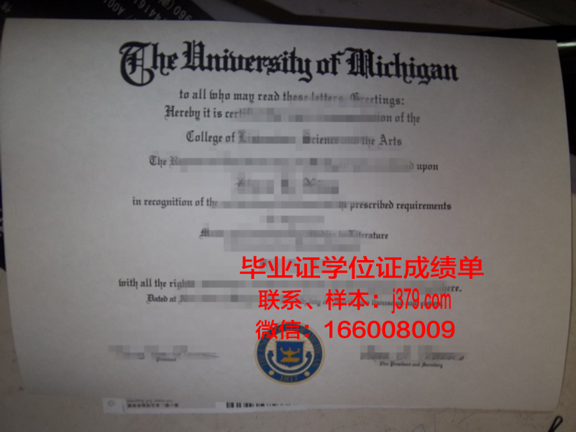 阿道夫大毕业证成绩单:一段历史记忆的启示
