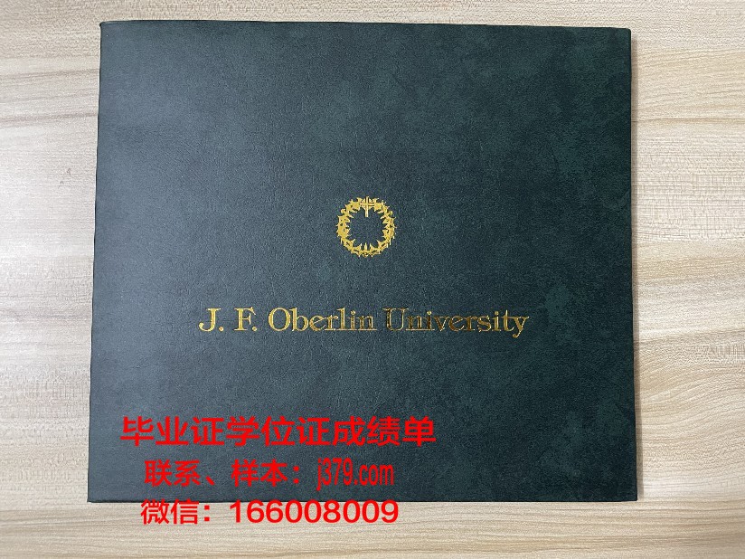 雷根斯堡大学毕业证真伪(雷根斯堡应用技术大学怎么样)