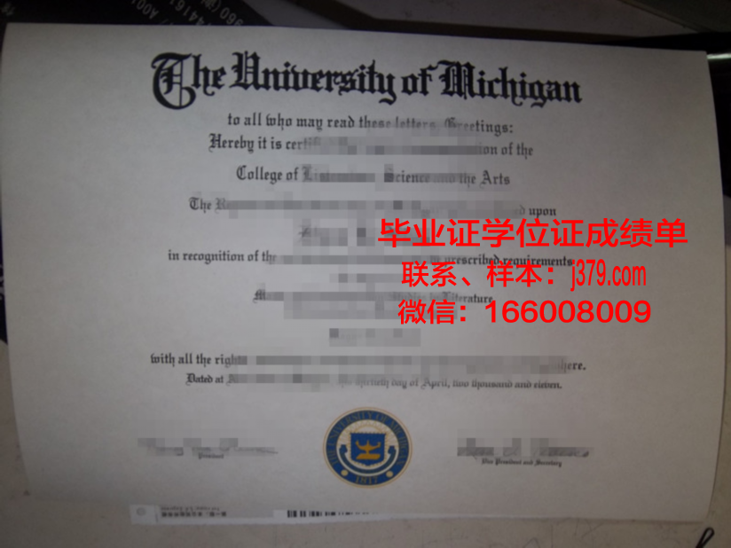 维萨里斯学院毕业证:一份荣誉的象征