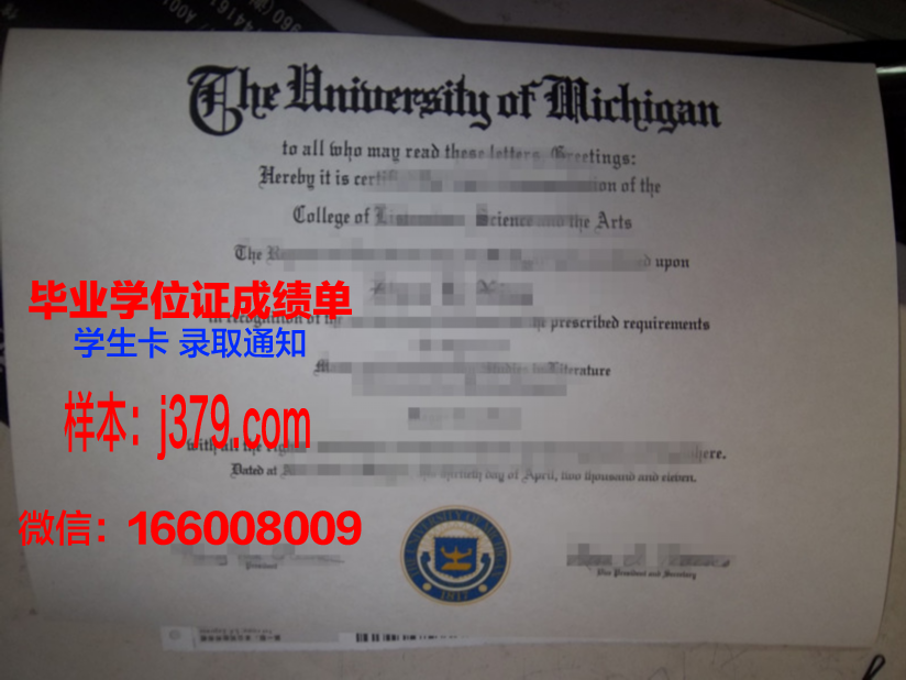 维泰博大学毕业证丢失怎么补办