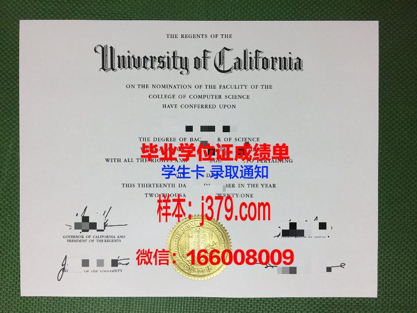 阿道夫·伊瓦涅斯大学毕业证