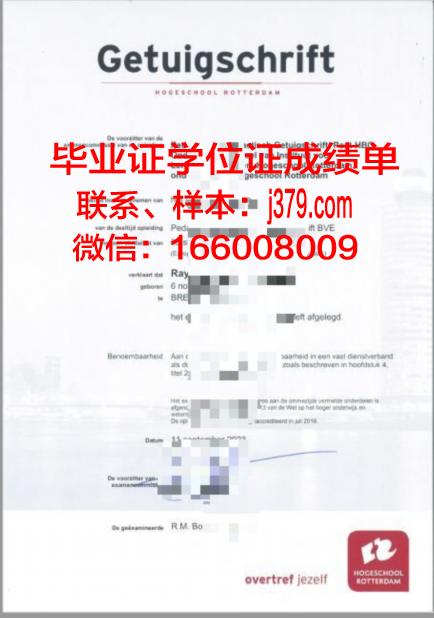 维莱尔国际商学院的毕业证都能做(法国维莱尔国际商学院在职硕士)