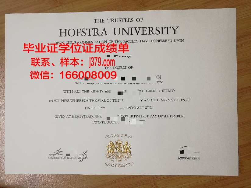 霍夫应用技术大学毕业证书模板