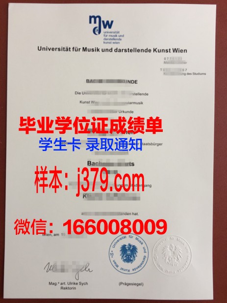 维也纳应用艺术大学毕业证外壳(维也纳艺术学院英语)