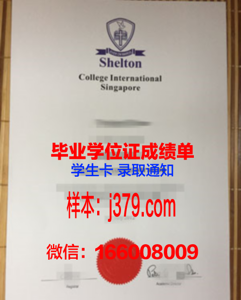维莱尔国际商学院硕士毕业证书样本(法国维莱尔国际商学院在职硕士)