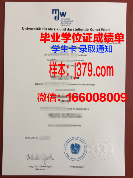 维也纳技术大学毕业证等级(维也纳技术大学毕业证等级怎么填)