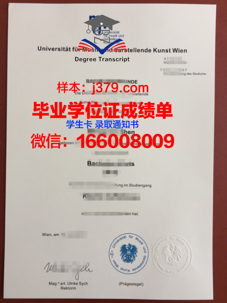 维也纳技术大学毕业证翻译(维也纳大学翻译专业)