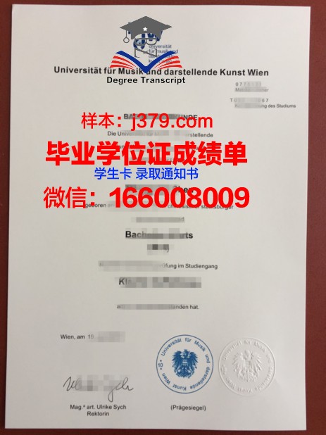 维也纳技术大学毕业证等级(维也纳技术大学毕业证等级怎么填)