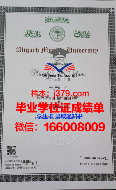 阿里大博士毕业证:一份特殊的荣誉证书