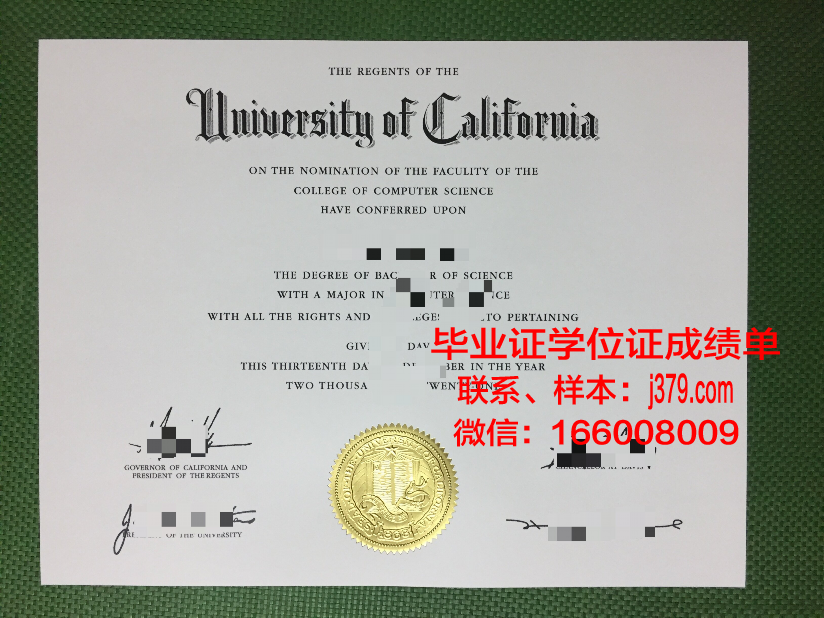 雷根斯堡大学本科毕业证:跨越学术成就的里程碑