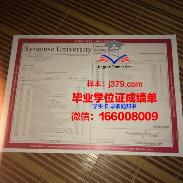 雪城大学毕业证图片Syracuse University Diploma