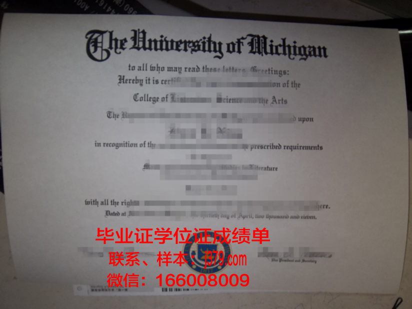 纽黑文大学本科毕业证(纽曼大学毕业证)