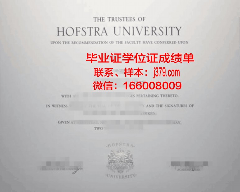 霍夫应用技术大学毕业证书模板