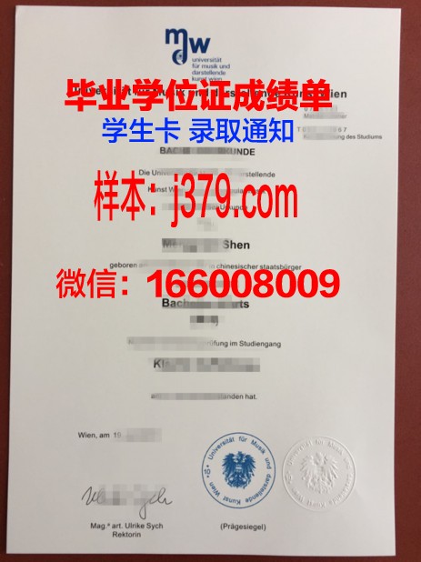 维也纳模都尔大学毕业证长什么样(维也纳学院落榜生)