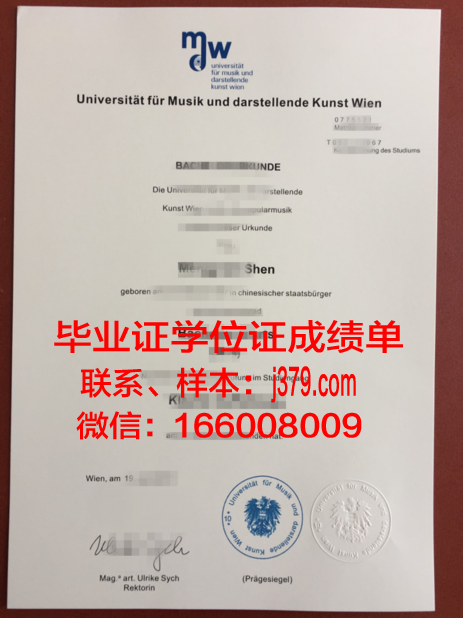 维也纳工业大学成绩单:展现学术实力与教育品质